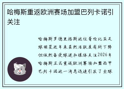 哈梅斯重返欧洲赛场加盟巴列卡诺引关注 哈梅斯重返欧洲赛场加盟巴列卡诺引关注